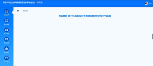 基于BS架構(gòu)的企業(yè)財(cái)務(wù)管理信息系統(tǒng)軟件開發(fā)